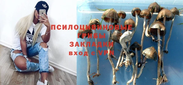 ешки Надым