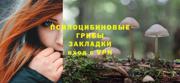 дживик Михайловск