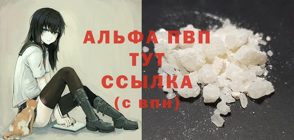 дмт Богданович